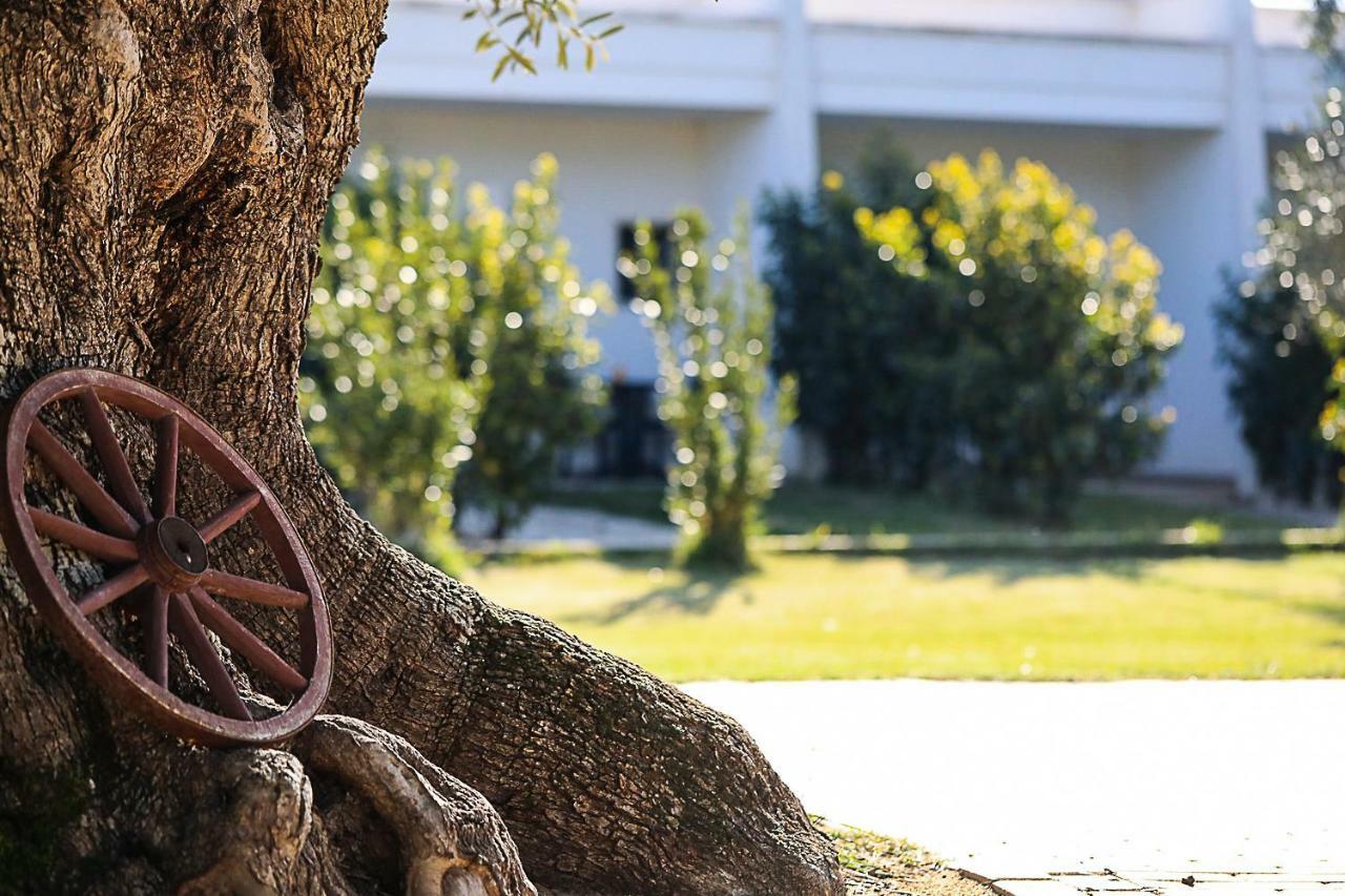 Hotel Eden Carovigno Εξωτερικό φωτογραφία