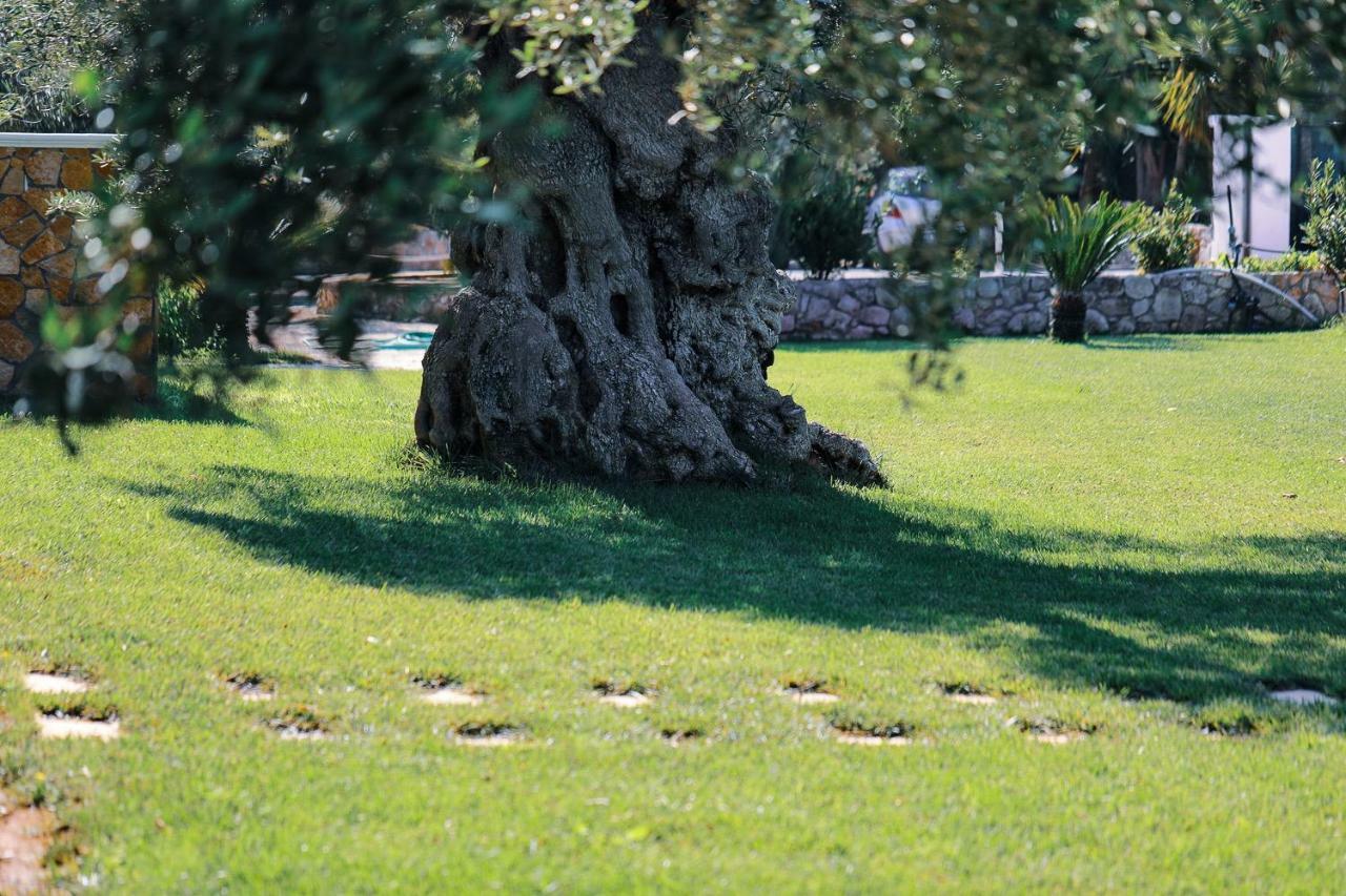 Hotel Eden Carovigno Εξωτερικό φωτογραφία
