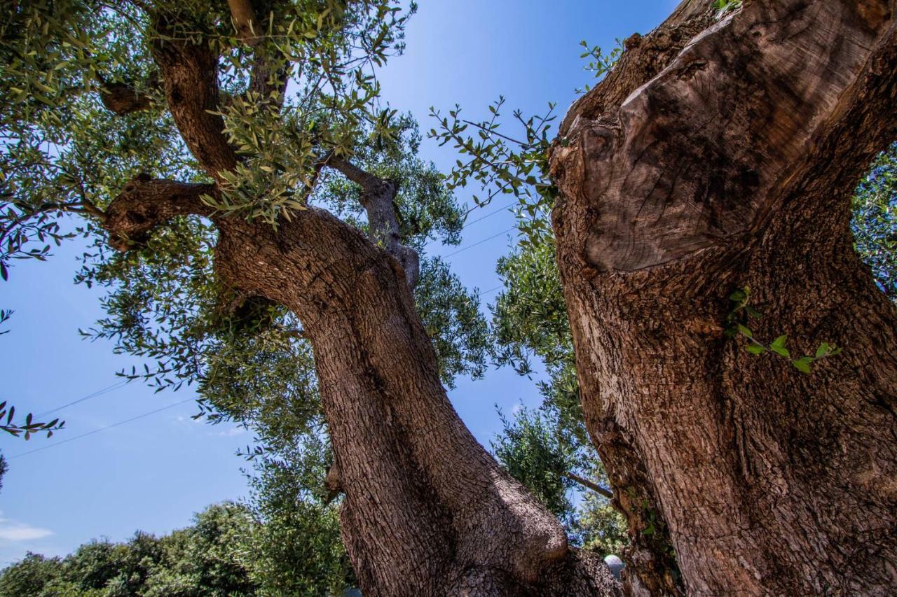 Hotel Eden Carovigno Εξωτερικό φωτογραφία